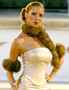 BG Model