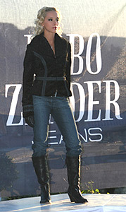 BG Model