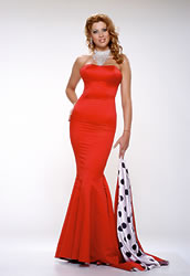 BG Model
