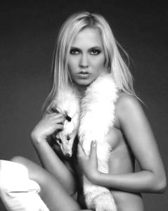 BG Model