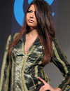 BG Model