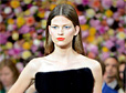    Christian Dior Paris Fashion Week -   - 2012-2013